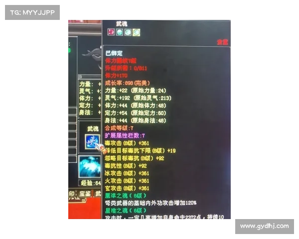 武魂玄冰加点完美平衡技巧解析与实战应用指南 武魂玄冰加点完美平衡技巧解析与实战应用指南