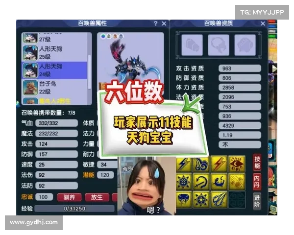 梦幻西游宝宝练级地点选择指南与最佳策略解析 梦幻西游宝宝练级地点选择指南与最佳策略解析