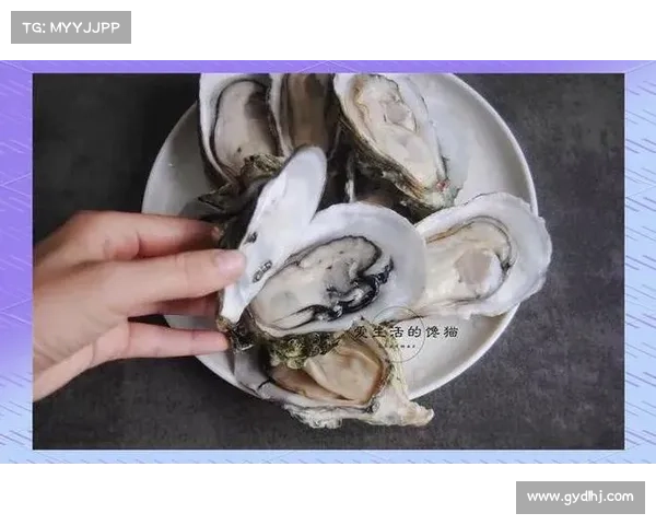 如何高效获取精炼泰拉石及其最佳使用技巧全面解析 如何高效获取精炼泰拉石及其最佳使用技巧全面解析